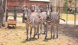 Potongan Langsung Rp40 Ribu image